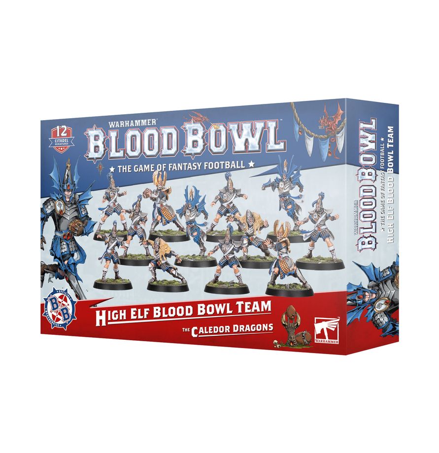 Warhammer Blood Bowl- High Elf Blood Bowl Team: The Caledor Dragons