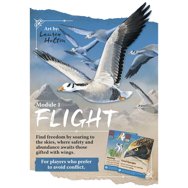 Nature: Module 1- Flight