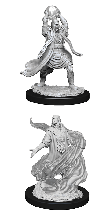 Pathfinder Deep Cuts Unpainted Miniatures: W11 Male Elf Sorcerer