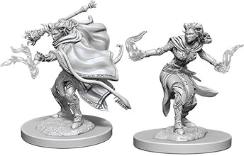 Dungeons & Dragons Nolzur`s Marvelous Unpainted Miniatures: W6 Female Tiefling Warlock
