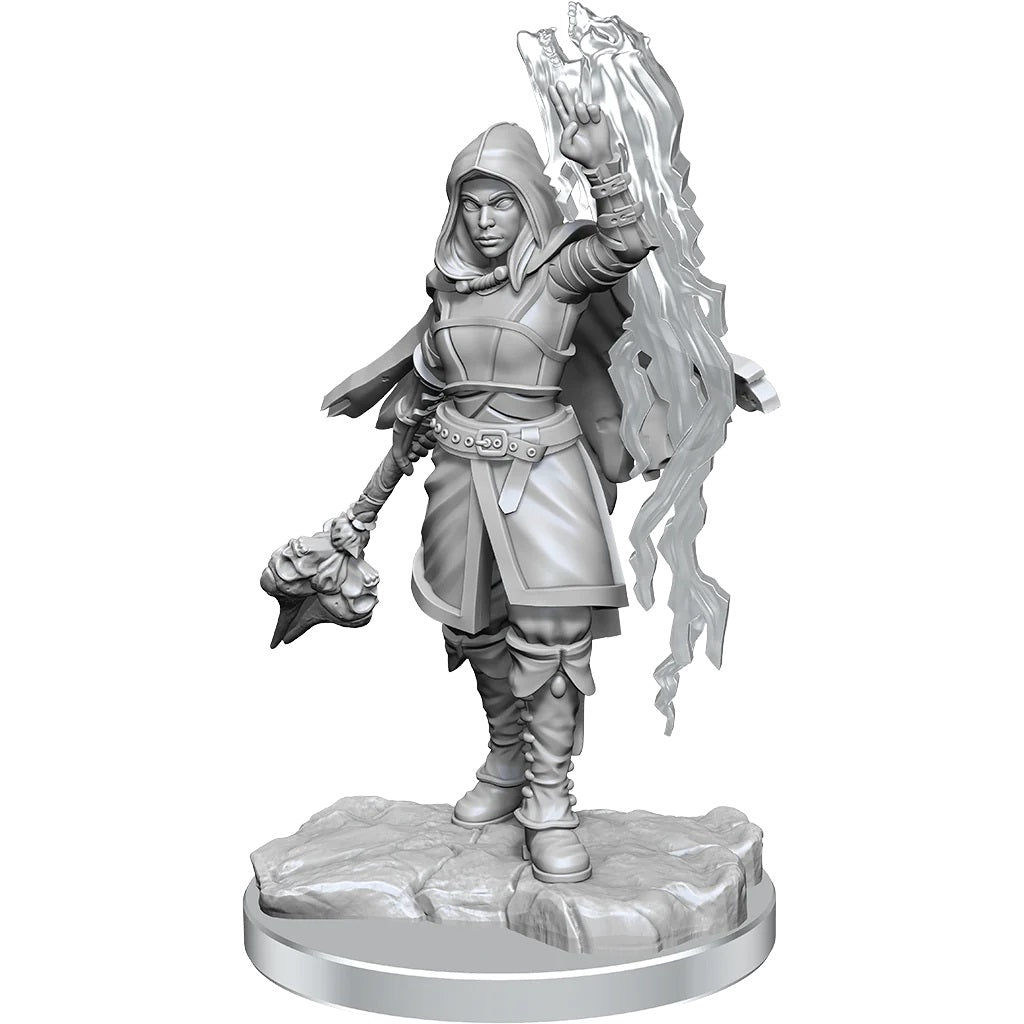 Dungeons & Dragons Nolzur's Marvelous Unpainted Miniatures: W20 Half-Elf Warlock