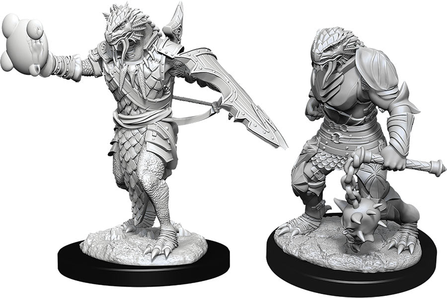Dungeons & Dragons Nolzur`s Marvelous Unpainted Miniatures: W11 Male Dragonborn Paladin