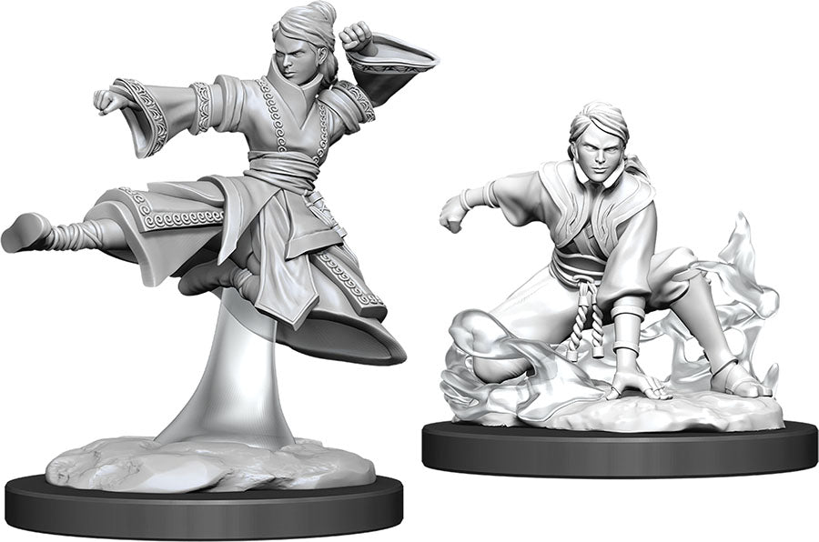 D&D Nolzur`s Marvelous Unpainted Miniatures: W11 Female Human Monk