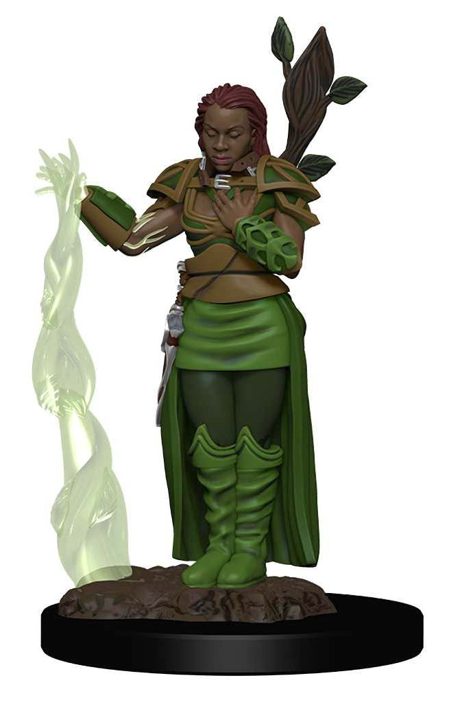 D&D Icons of the Realms Premium Figures: W2 Human Female Druid