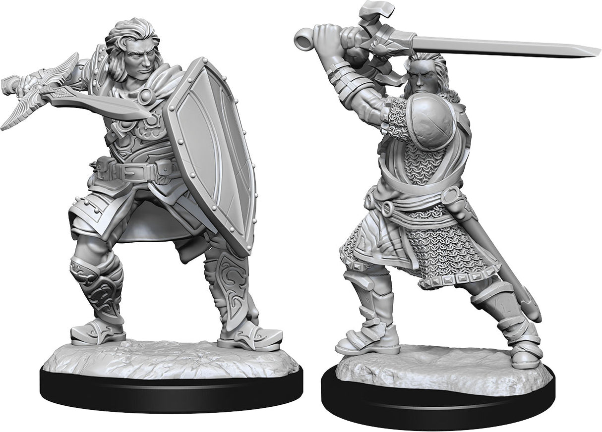 Dungeons & Dragons Nolzur's Marvelous Unpainted Miniatures: W14 Human Paladin Male