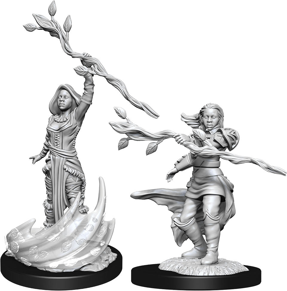 Dungeons & Dragons Nolzur's Marvelous Unpainted Miniatures: W14 Human Druid Female