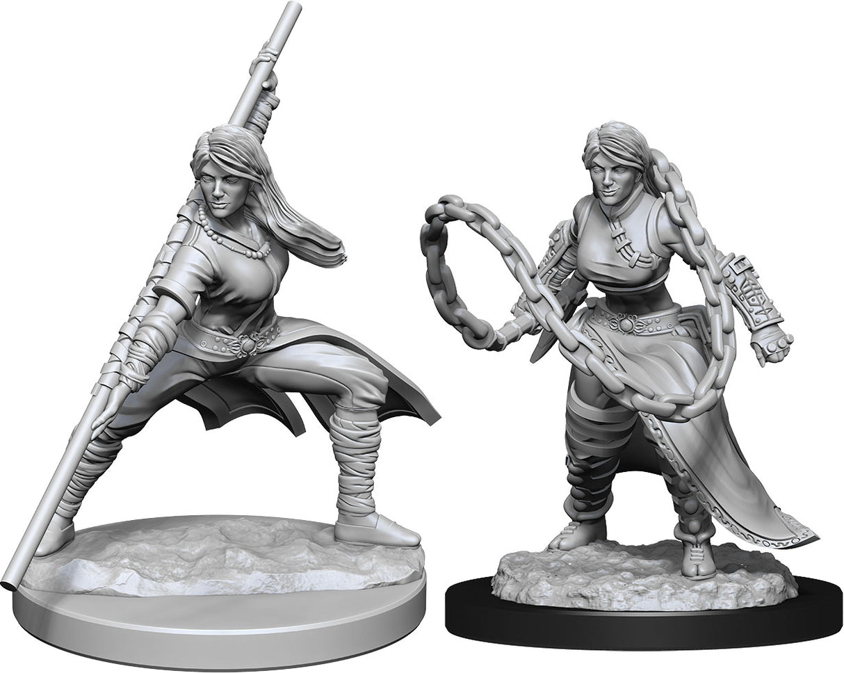 Dungeons & Dragons Nolzur's Marvelous Unpainted Miniatures: W14 Human Monk Female