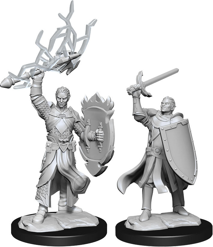 Dungeons & Dragons Nolzur's Marvelous Unpainted Miniatures: W14 Half-Elf Paladin Male