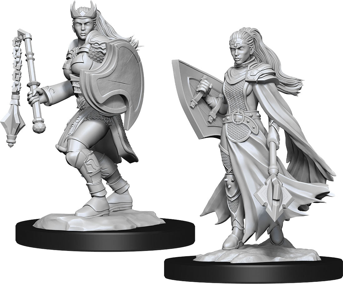 Dungeons & Dragons Nolzur's Marvelous Unpainted Miniatures: W14 Kalashtar Cleric Female