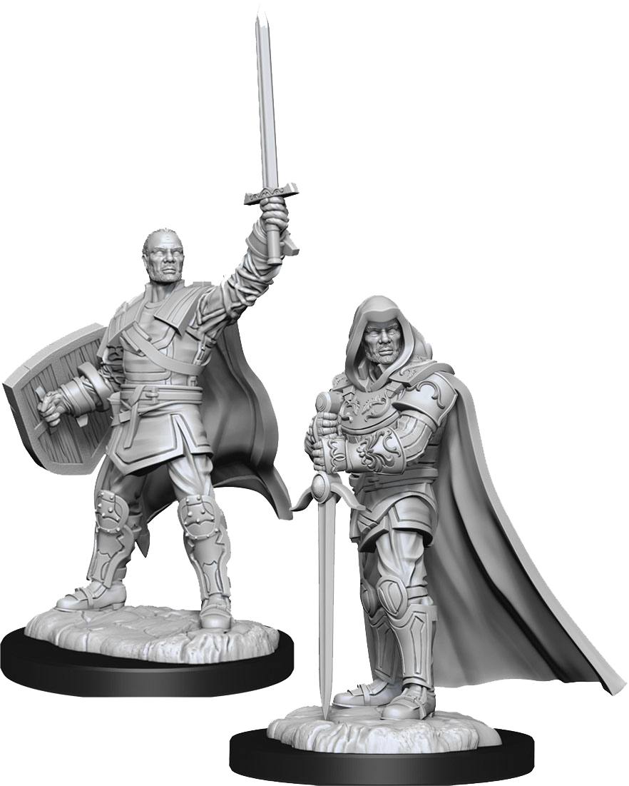 Dungeons & Dragons Nolzur's Marvelous Unpainted Miniatures: W13 Human Paladin Male