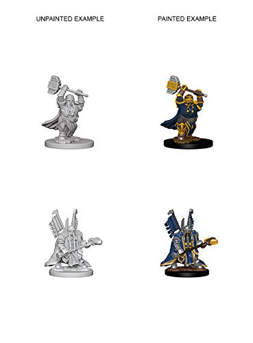 Dungeons & Dragons Nolzur`s Marvelous Unpainted Miniatures: W4 Dwarf Male Paladin
