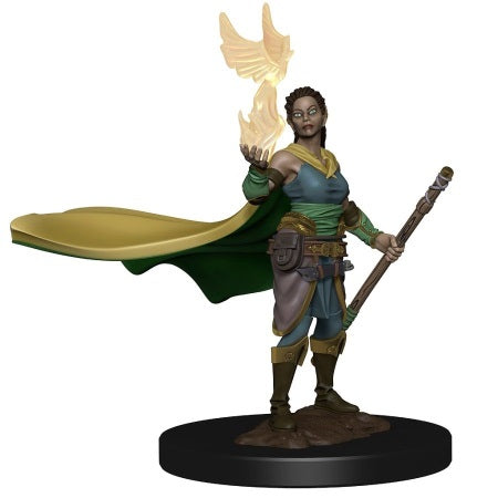Dungeons & Dragons Icons of the Realms Premium Figures: W1 Elf Female Druid