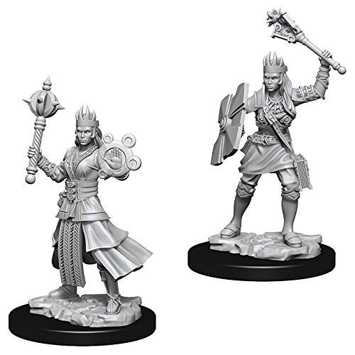 Dungeons & Dragons Nolzur`s Marvelous Unpainted Miniatures: W8 Female Human Cleric