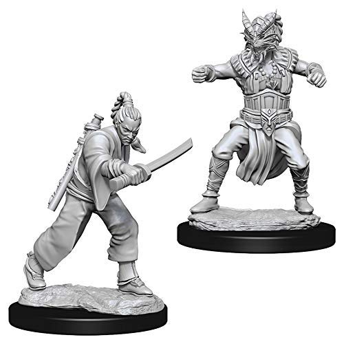 Dungeons & Dragons Nolzur`s Marvelous Unpainted Miniatures: W8 Male Human Monk