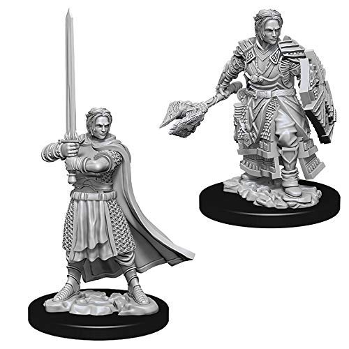 Dungeons & Dragons Nolzur`s Marvelous Unpainted Miniatures: W8 Male Human Cleric