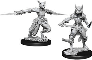Dungeons & Dragons Nolzur`s Marvelous Unpainted Miniatures: W9 Female Tabaxi Rogue