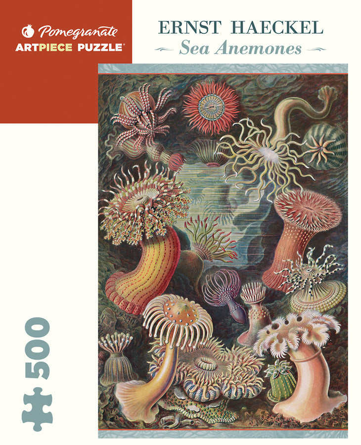 Pomegranate Artpiece Puzzle: 500 Pieces - Ernst Haeckel - Sea Anemones