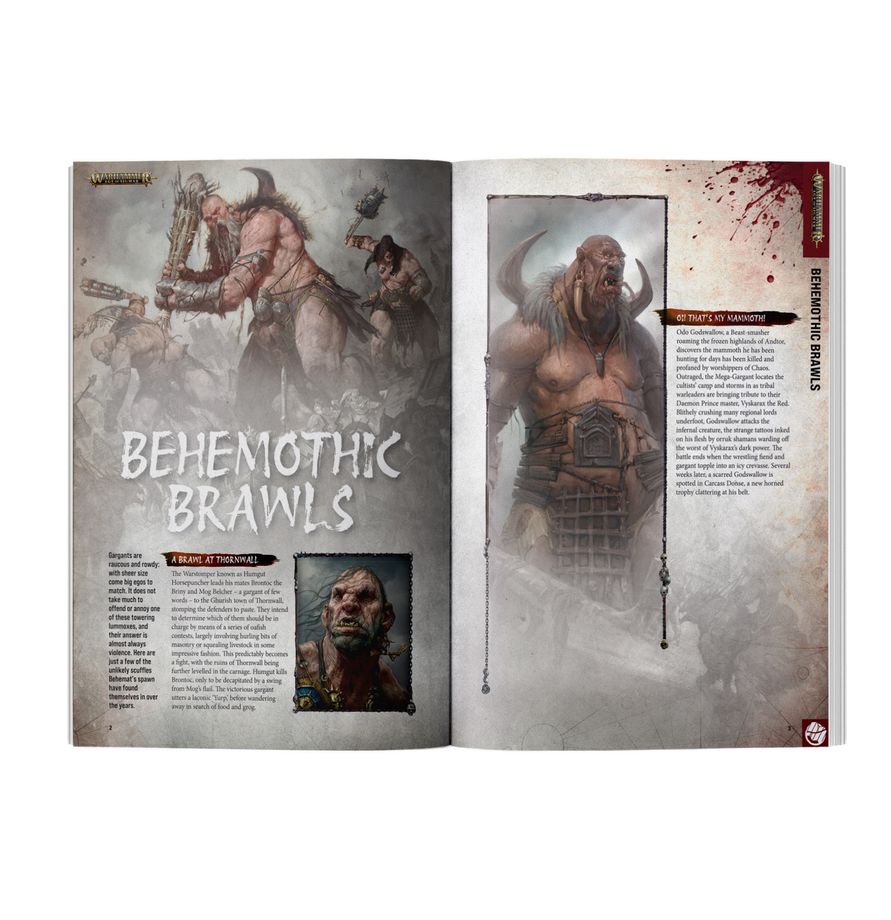 Warhammer: White Dwarf 529