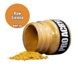 Monument Hobbies: PRO Acryl Weathering Pigments 06 - Raw Sienna