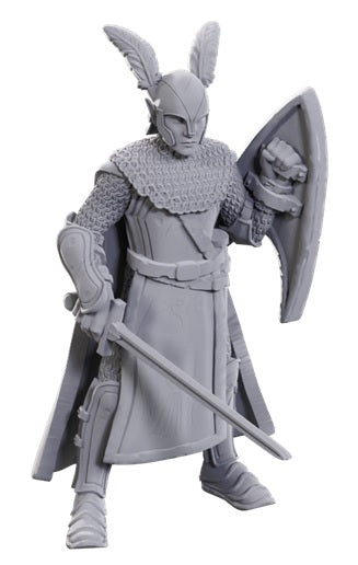 Dungeons & Dragons Nolzur's Marvelous Unpainted Miniatures: Limited Edition 50th Anniversary Elves