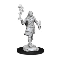 Critical Role Unpainted Miniatures: W1 Pallid Elf Rogue and Bard Male