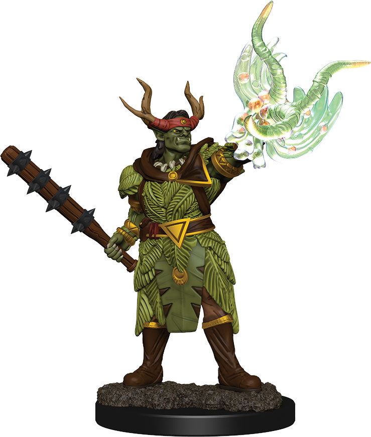 Pathfinder Battles: Premium Painted Figure - W2 Half-Orc Druid Male