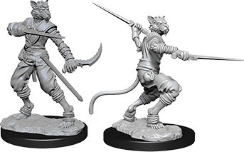 D&D® Nolzur's Marvelous Miniatures - W7 Male Tabaxi Rogue