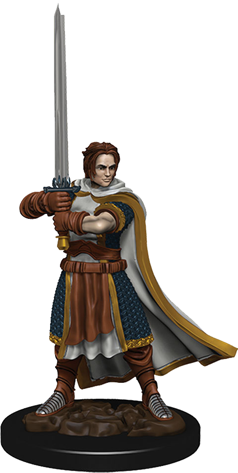 D&D Miniatures: Icons of the Realms Premium Figures Human Cleric Male