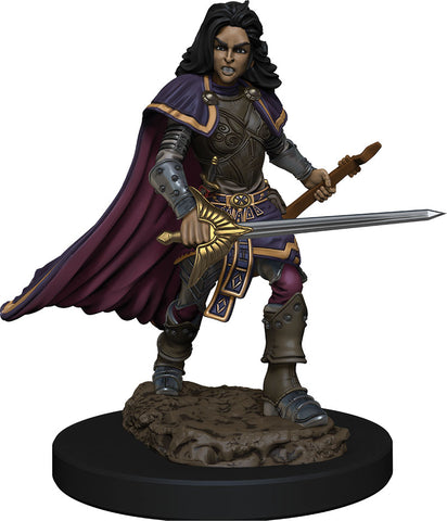 Pathfinder Battles: Premium Painted Figure - W2 Human Bard Female