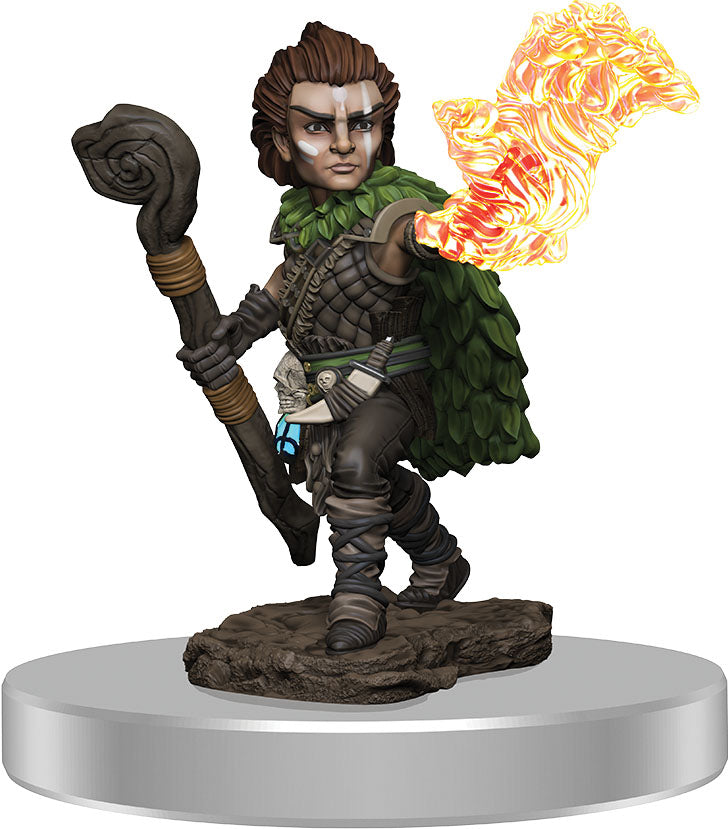 Pathfinder Battles: Premium Painted Figure - W3 Male Gnome Druid