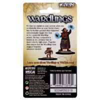 WizKids Wardlings: Boy Wizard & Imp