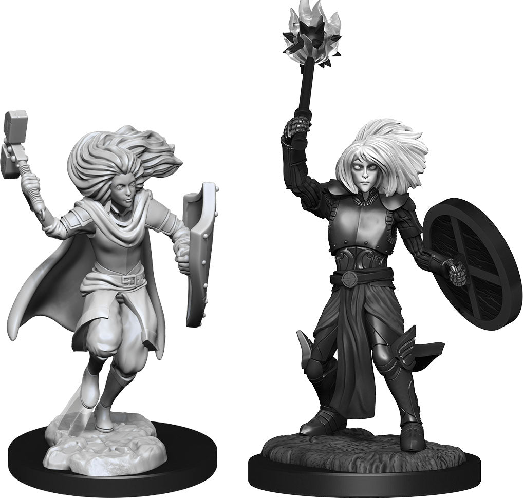 Dungeons & Dragons Nolzur's Marvelous Unpainted Miniatures: W14 Changeling Cleric Male