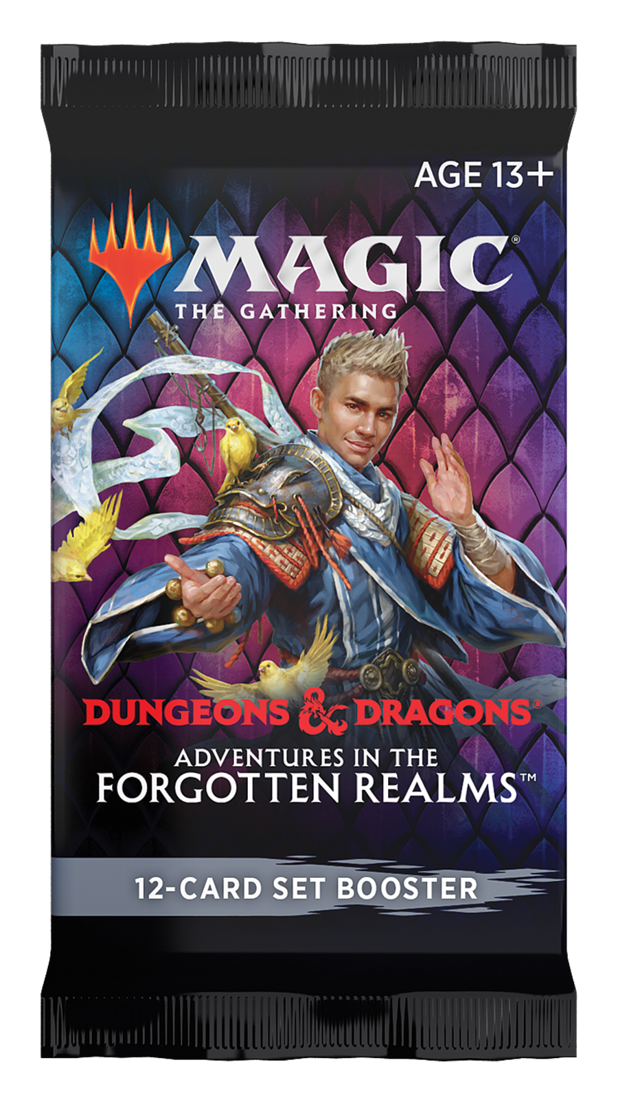 Magic the Gathering CCG: D&D Adventures in the Forgotten Realms Set Booster