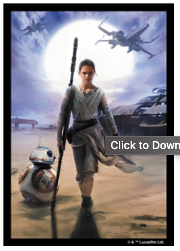Star Wars: The Force Awakens Art Sleeves (50) - Rey