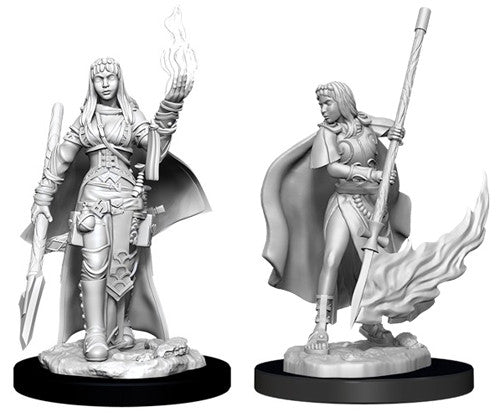 Pathfinder Deep Cuts Unpainted Miniatures: W11 Female Human Oracle (Magic User)